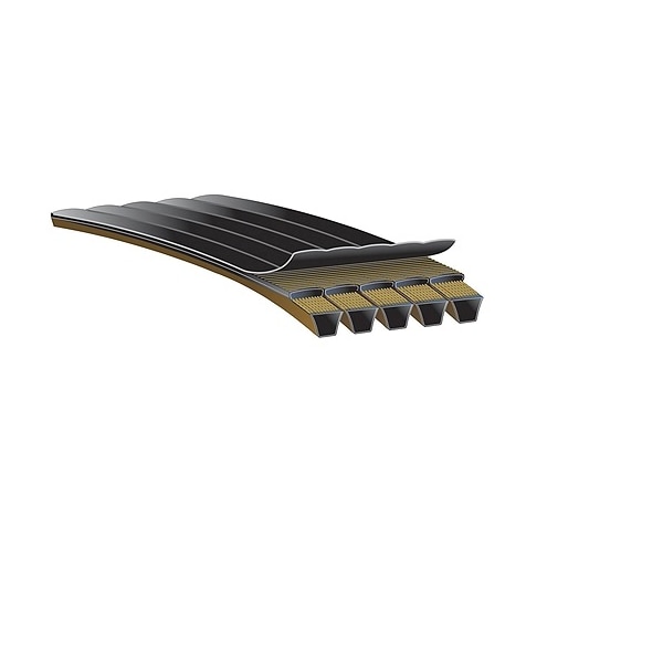 Predator PowerBand Belts, 10/8VP2360